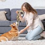 Newthinking Squeaky Dog Toys 5 Pack Plush for Dogs