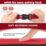 Adjustable Reflective Nylon Dog Collar with Safety Buckle