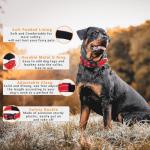 Adjustable Reflective Nylon Dog Collar with Safety Buckle