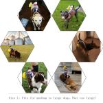 Delifur Pet Halloween Cowboy Rider Dog Costume, L