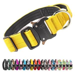 Heavy Duty Adjustable Dog Collar with Handle