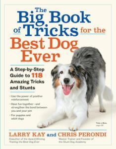 Big Book of Tricks for Your Dog