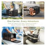 Petsfit Soft-Sided Dog and Cat Travel Carrier