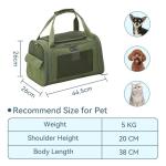 Petsfit Airline Approved Soft Dog Carrier - Green