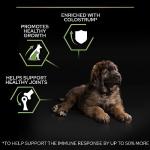 Pro Plan Large Puppy Dry Dog Food 12kg