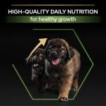 Pro Plan Large Puppy Dry Dog Food 12kg