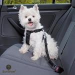 Adjustable Dog Seat Belt Harness - 2 Pack