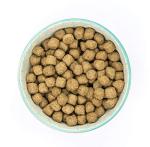 Burns Hypoallergenic Dog Food for Weight Control 2kg