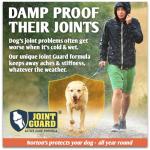 NORTON'S Joint Care Supplements for Dogs - 300 Tablets