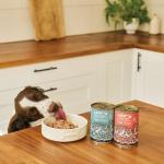 Lily's Kitchen Grain-Free Puppy Wet Dog Food