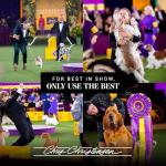 Chris Christensen Smartwash50 De-Shed Dog Shampoo - 473ml