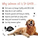 Bugalugs Salmon Oil for Dogs & Cats - 500ml