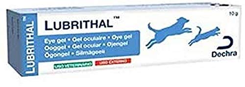 Dechra Lubrithal Eye Gel for Dogs - 10g