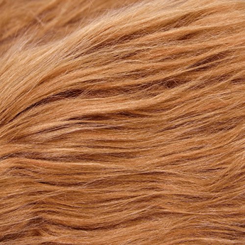 Lion Mane Wig Costume for Dogs and Cats