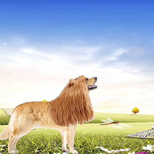 Lion Mane Wig Costume for Dogs and Cats