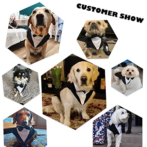 Dog Wedding/Christmas Costume Halloween Outfit for Small Dogs