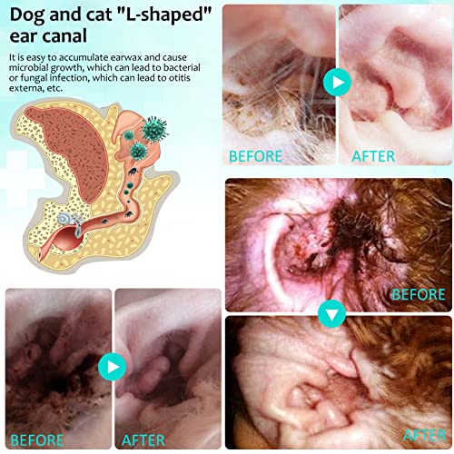 Dog Ear Care: Relief from Infections, Mites & Dirt