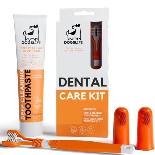 Triple Headed Dog Toothbrush & Toothpaste Dental Kit