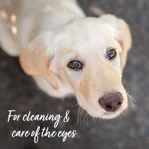 AniForte Gentle Dog Eye Cleaning Pads - Pack of 100