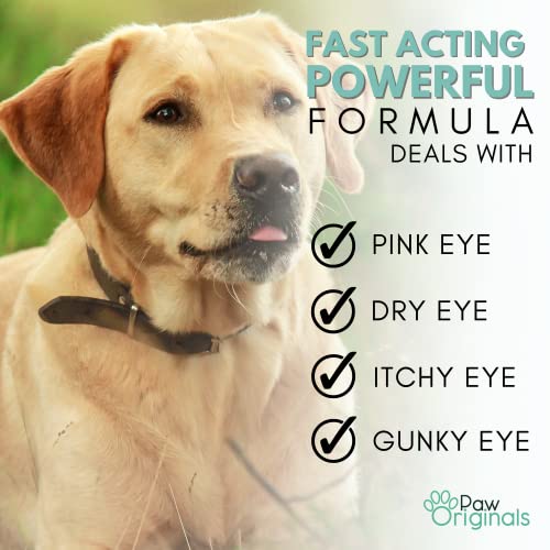 Antibacterial Dog Eye Drops for Bright, Clean Eyes