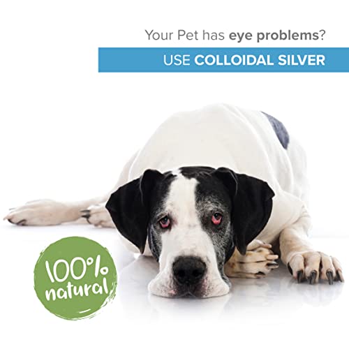 Institut Katharos Eye Drops for Dogs & Cats - Antibiotic Treatment for Eye Infection