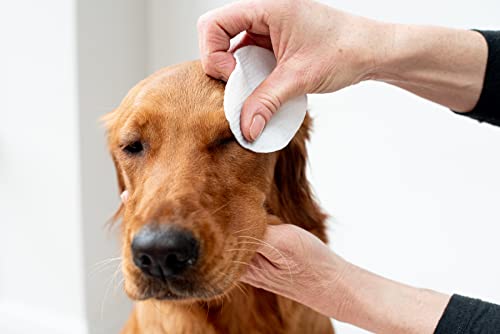 Vet Approved Eye Wipes for Large Dogs | Natural