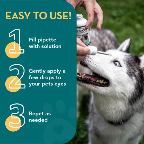 Natural Dog Eye Drops with Colloidal Silver for Pets