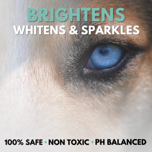 Antibacterial Dog Eye Drops for Bright, Clean Eyes