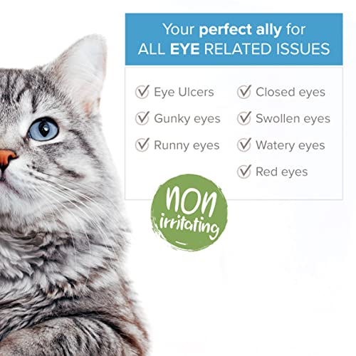Institut Katharos Eye Drops for Dogs & Cats - Antibiotic Treatment for Eye Infection