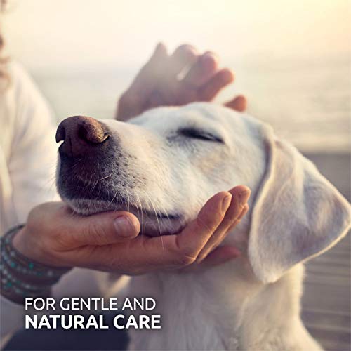 AniForte Gentle Dog Eye Cleaning Pads - Pack of 100