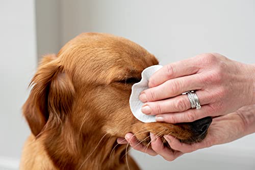 Vet Approved Eye Wipes for Large Dogs | Natural