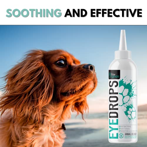 Antibacterial Dog Eye Drops for Bright, Clean Eyes