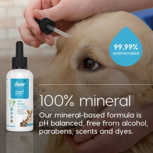 Natural Eye Drops for Pets | Allergy Relief Solution