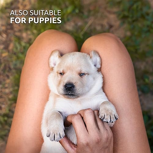 AniForte Gentle Dog Eye Cleaning Pads - Pack of 100