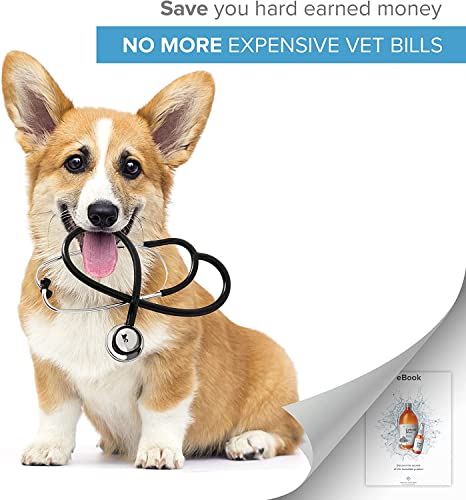 Institut Katharos Eye Drops for Dogs & Cats - Antibiotic Treatment for Eye Infection