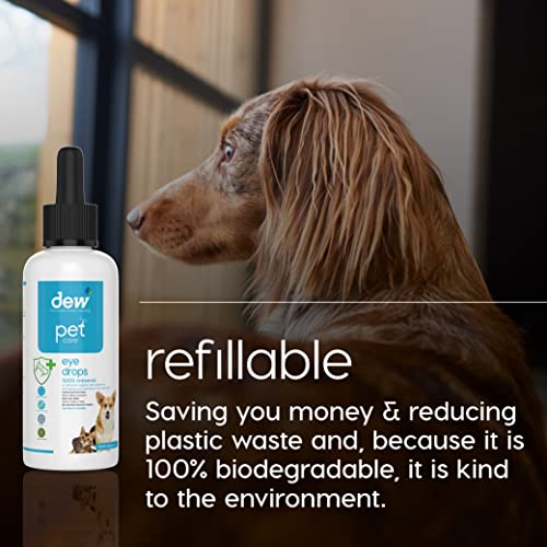 Natural Eye Drops for Pets | Allergy Relief Solution