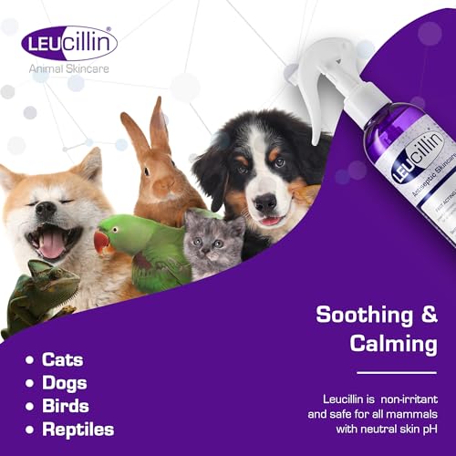 Leucillin Natural Antiseptic Spray for Dogs Cats 50ml