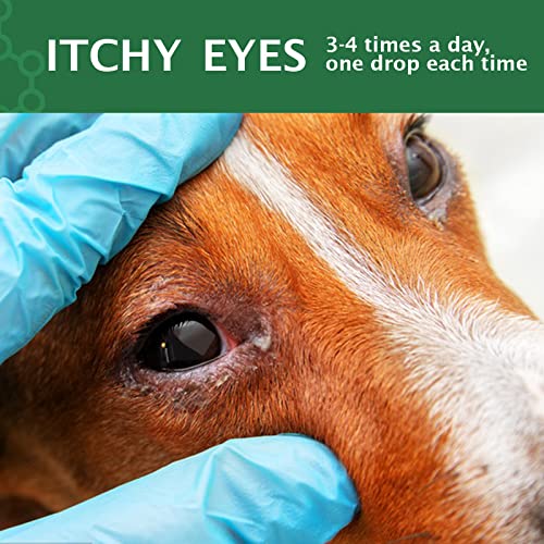 Uocasi Pet Eye Drops for Dogs and Cats