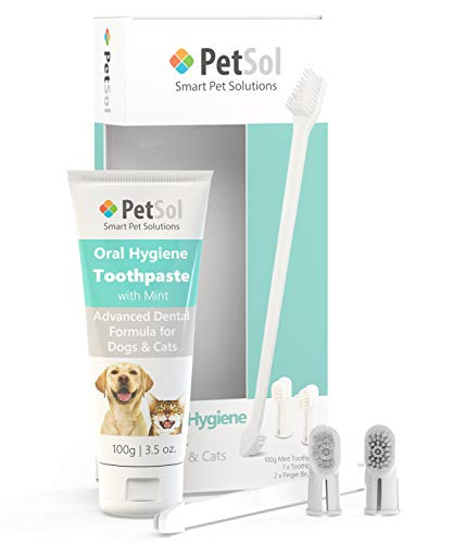PetSol Dental Care Kit for Dogs Cats + 3 Toothbrushes