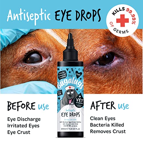 Antibacterial Eye Drops for Dogs, Cats & Puppies