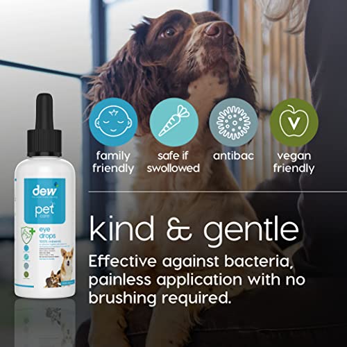 Natural Eye Drops for Pets | Allergy Relief Solution