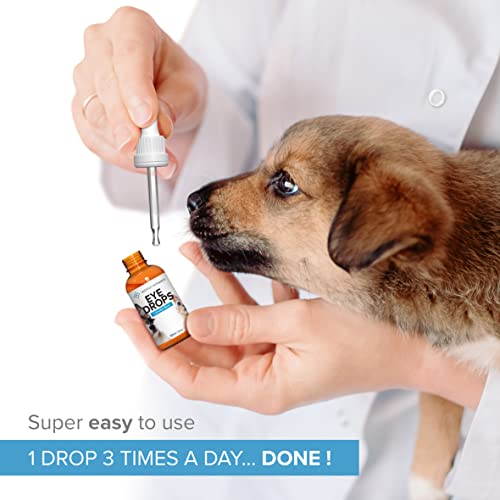 Institut Katharos Eye Drops for Dogs & Cats - Eye Care for Pets