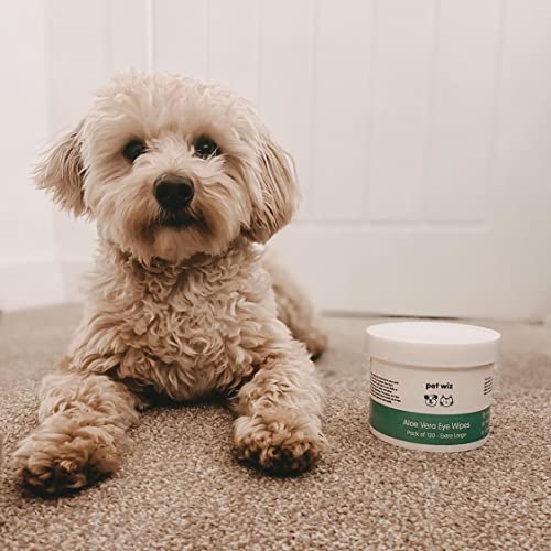 Vet Approved Eye Wipes for Large Dogs | Natural