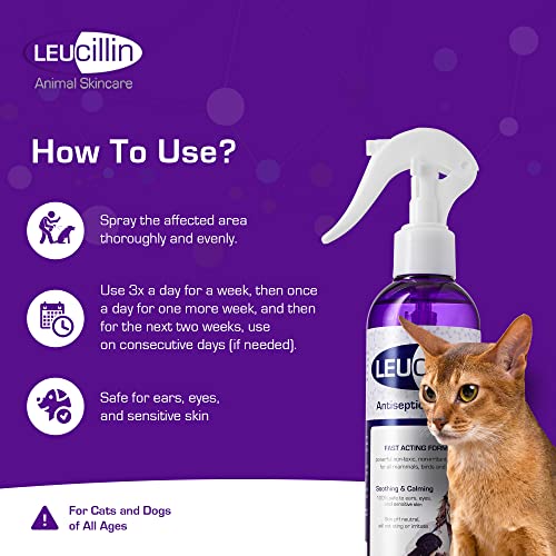 Leucillin Natural Antiseptic Spray for Dogs Cats 50ml