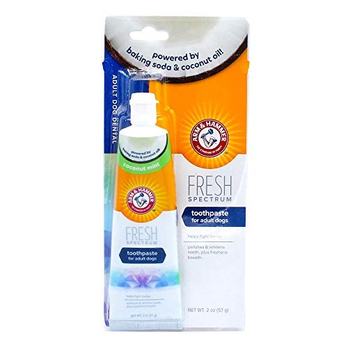 Coconut Mint Dog Toothpaste for Dental Care & Hygiene