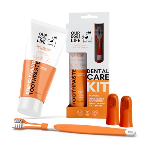 Triple Headed Dog Toothbrush & Toothpaste Dental Kit