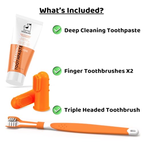 Triple Headed Dog Toothbrush & Toothpaste Dental Kit