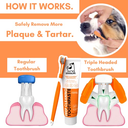 Triple Headed Dog Toothbrush & Toothpaste Dental Kit