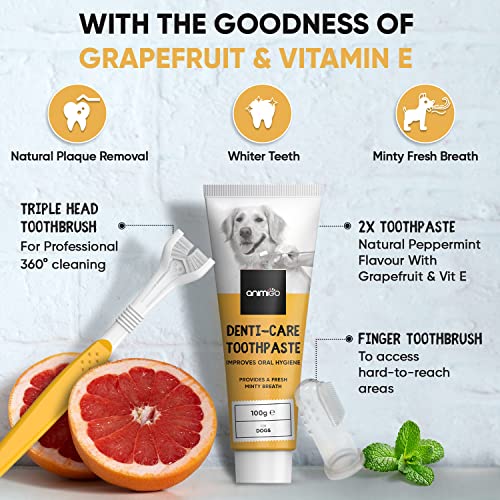 Dog Toothbrush, Toothpaste Kit, Finger Brush for Dental Care