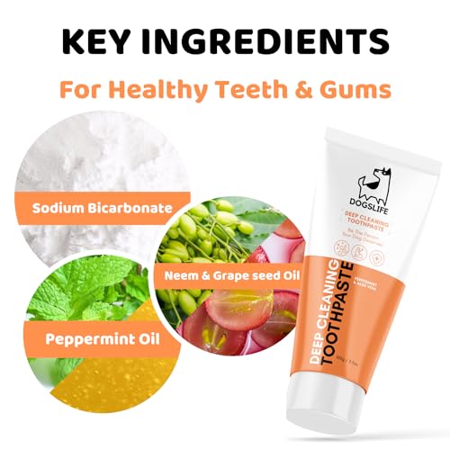 Triple Headed Dog Toothbrush & Toothpaste Dental Kit